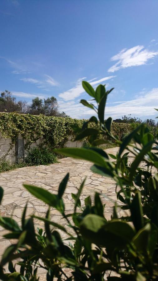 Stella Dei Campi Guest House Sternatia Екстериор снимка