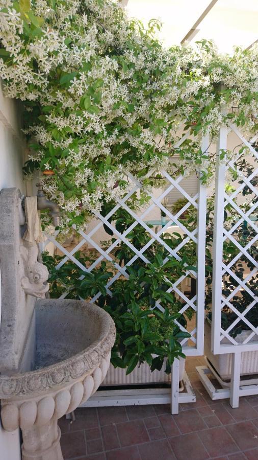 Stella Dei Campi Guest House Sternatia Екстериор снимка